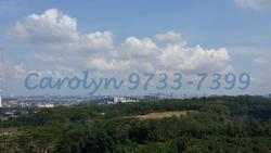 Blk 630 Senja Road (Bukit Panjang), HDB 4 Rooms #85089212